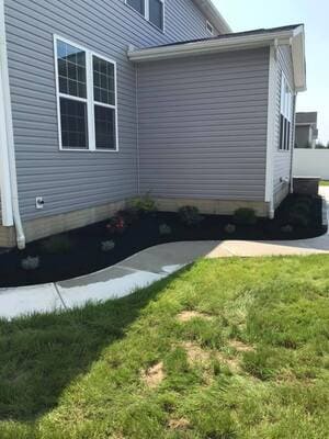 Crisp landscape edge with black mulch