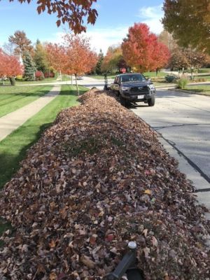 Suburban Turf Pros project 11