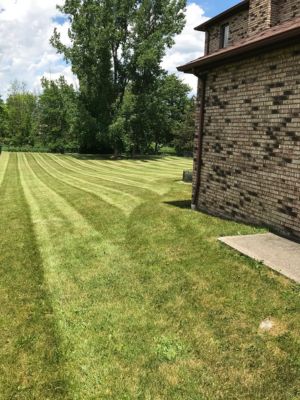 Suburban Turf Pros project 21