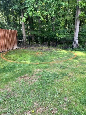 Suburban Turf Pros project 24