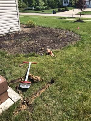 Suburban Turf Pros project 28