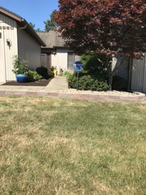 Suburban Turf Pros project 32