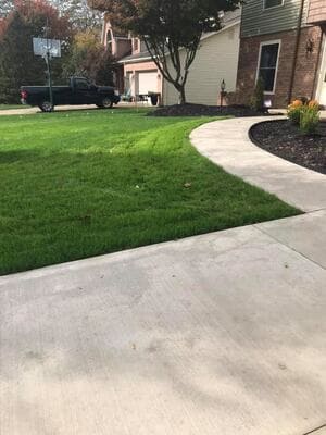 Suburban Turf Pros project 37