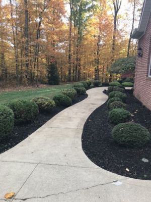 Suburban Turf Pros project 41