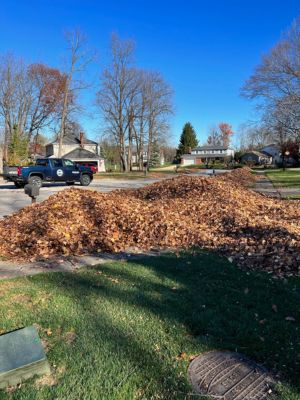 Fall leaf pickup in progress