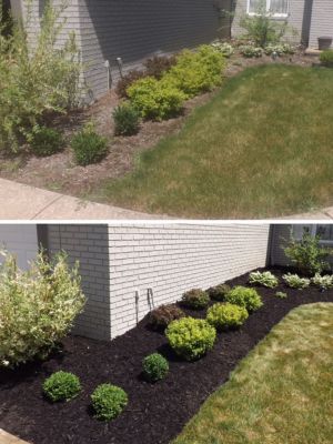Suburban Turf Pros project 43